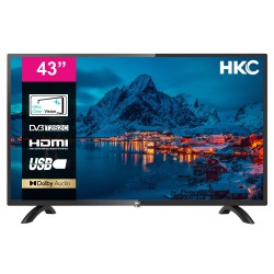 HKC 43D1 43 inch Full HD LED TV